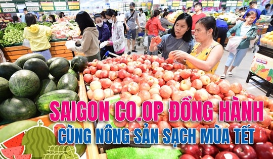 Saigon Co.op đồng hành cùng nông sản sạch mùa Tết
