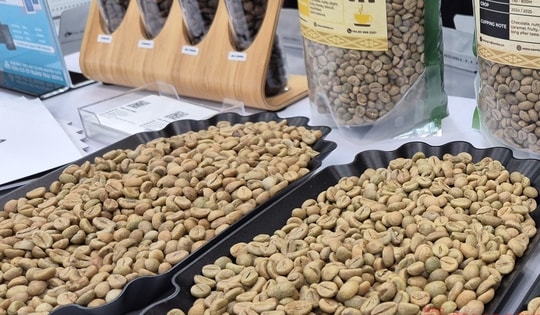 Giá cà phê hôm nay 26-12: Trong nước tăng nóng, Trung Quốc bất ngờ nhập nhiều