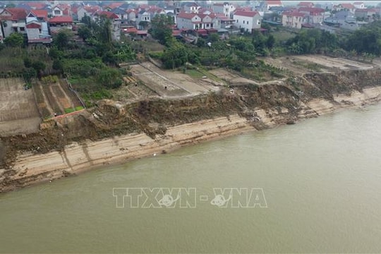 Phú Thọ công bố tình huống khẩn cấp về thiên tai tuyến đê hữu sông Lô