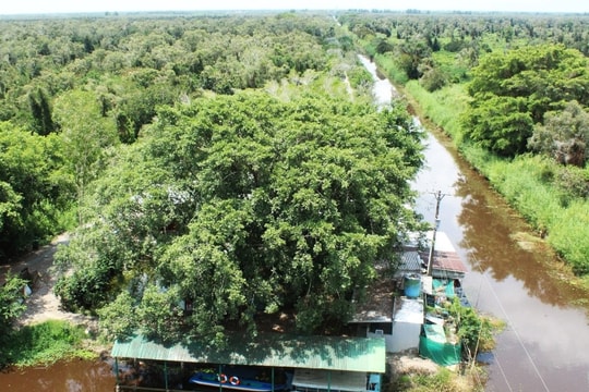 Hơn 1.458 tỷ đồng phát triển du lịch sinh thái, nghỉ dưỡng ở U Minh Hạ