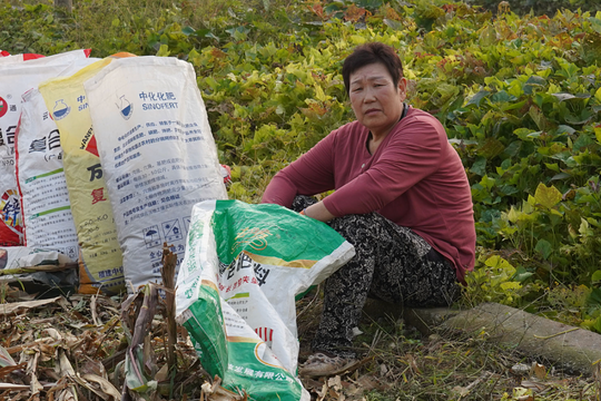 Kiệt quệ trong cuộc 'sàng lọc' của thời tiết