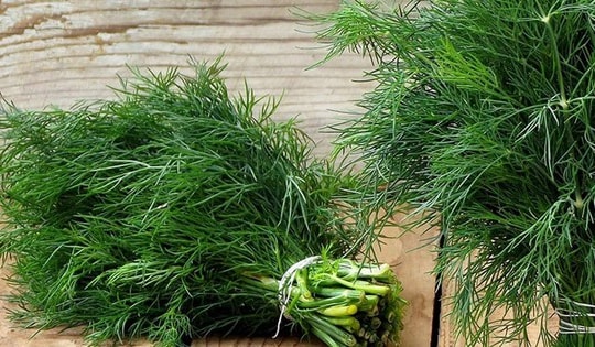 2 loại rau gia vị được ví như "vị thuốc xanh" cho cơ thể