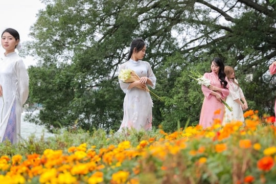 Người trẻ Hà Nội lên phố chụp ảnh gió mùa "1m2 cả chục nàng thơ"