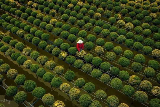 Nghề trồng hoa Sa Đéc được công nhận di sản quốc gia