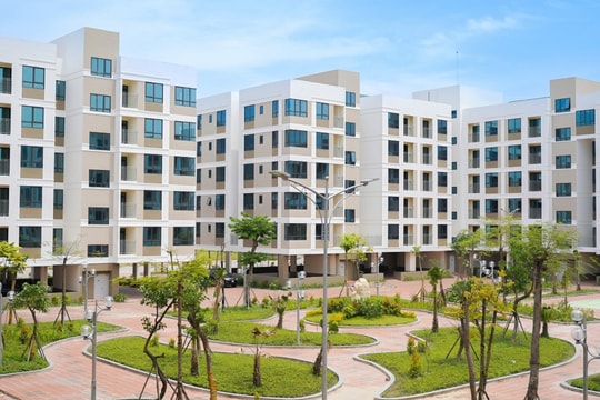 750 căn nhà xã hội của FLC ở Quảng Ninh dự kiến 19 triệu đồng một m2