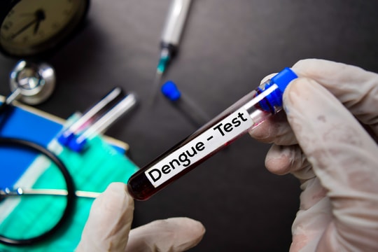 Có phải người nhóm máu O dễ bị sốc sốt xuất huyết?