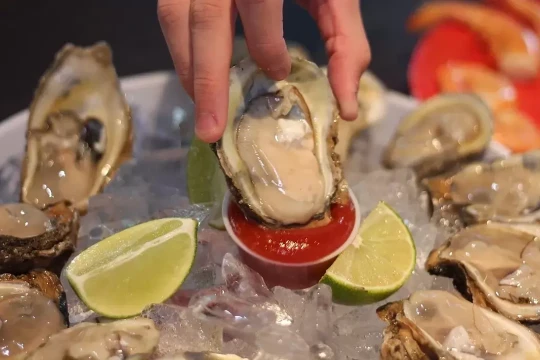 Hàu nhiễm khuẩn gây ngộ độc tại 22 bang ở Mỹ