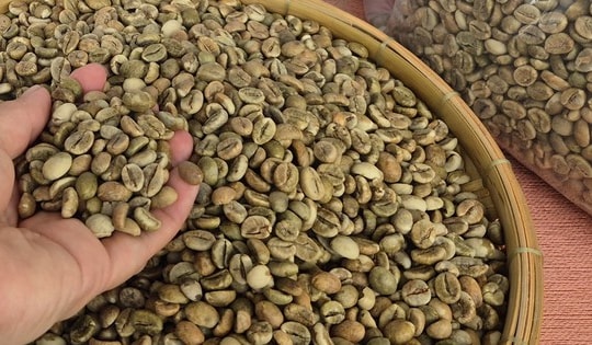 Giá cà phê hôm nay 28-12: Sát mốc 100.000 đồng/kg