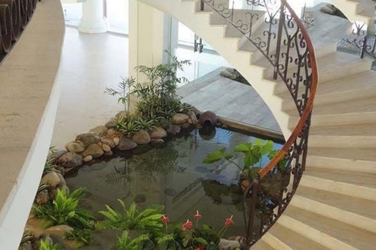 Những điều cần lưu ý khi thiết kế hồ cá Koi trong phòng khách