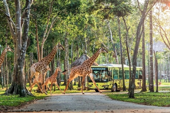 Dấu ấn trên hành trình 10 năm phát triển của Vinpearl Safari Phú Quốc