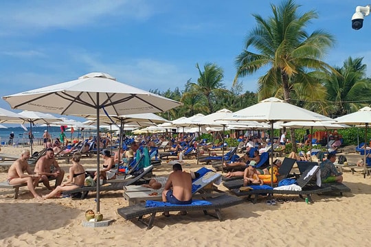 Khách 'đỏ mắt' tìm phòng khách sạn ở Phú Quốc dịp Tết Dương lịch