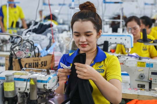 Thu nhập bình quân của người lao động năm 2025 đạt 8,31 triệu đồng/tháng