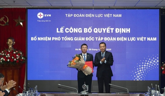 Bổ nhiệm 2 Phó Tổng giám đốc EVN