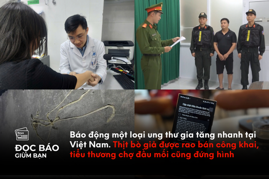 Báo động một loại ung thư gia tăng nhanh tại Việt Nam. Thịt bò giả được rao bán công khai, tiểu thương chợ đầu mối cũng đứng hình