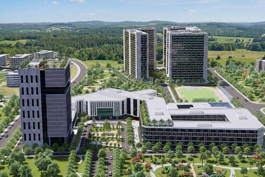 Thành lập trường Đại học Tâm Anh