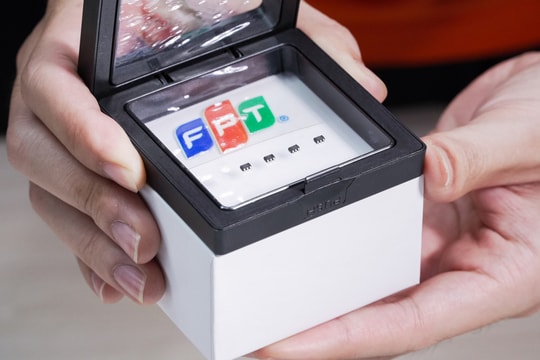 FPT xuất khẩu lô chip nguồn đầu tiên sang Nhật Bản