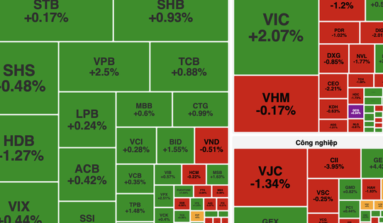 Cổ phiếu QCG, DGC tạo điểm nhấn trong phiên VN-Index tăng 12 điểm