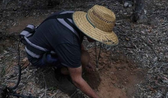 Giá vàng tăng cao, người dân và du khách đổ xô tìm tại các mỏ vàng cũ