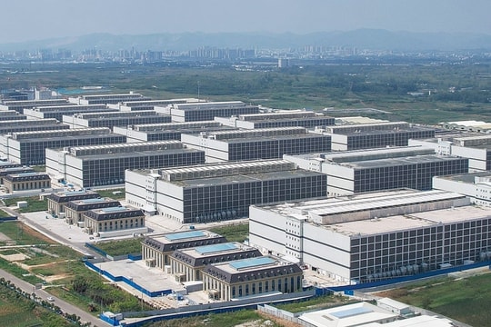 Trung Quốc dư thừa nguồn cung thịt do mô hình 'chung cư nuôi lợn'