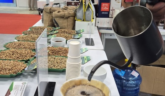 Giá cà phê hôm nay 31-12: Robusta tăng phiên thứ 5