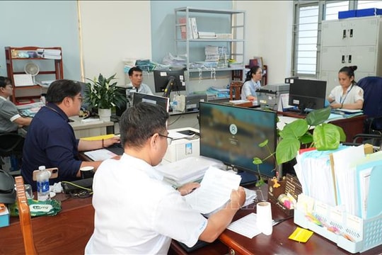 UBND cấp tỉnh xác định tổng số lượng cấp phó của cơ quan, tổ chức, đơn vị thuộc phạm vi quản lý