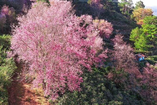 Hà Giang kẹt cứng, Đà Lạt thông thoáng ngày đầu tiên nghỉ lễ