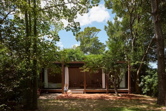 Nhà 40 m2 bằng gỗ, kính hai vợ chồng tự xây giữa rừng