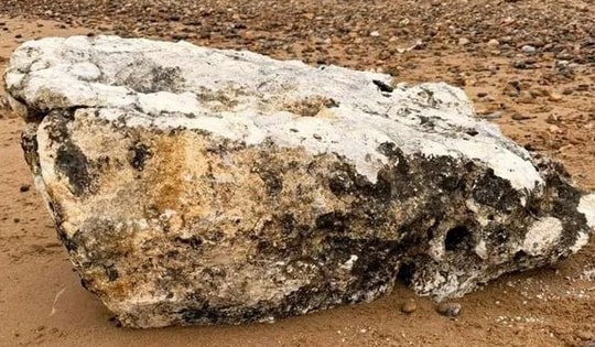 Phát hiện vật thể "bí ẩn" trên bãi biển, chó tử vong nếu ăn phải