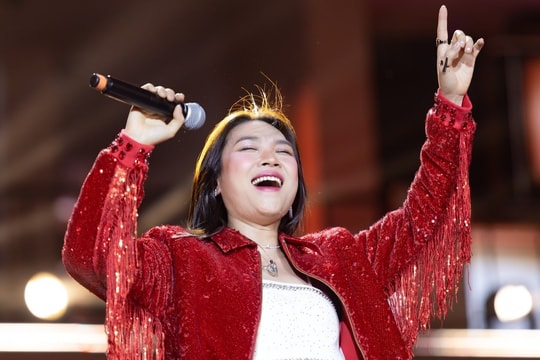 Mỹ Tâm gặp sự cố trong đêm bế mạc Liên hoan âm nhạc quốc tế TP.HCM