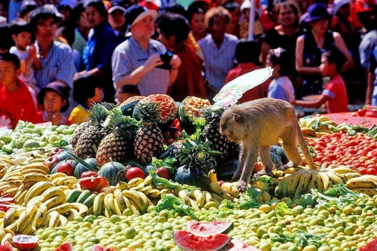 Buffet cho khỉ: Đại tiệc độc nhất vô nhị ở Thái Lan