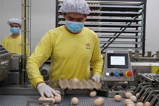 Mức thưởng Tết bình quân của công nhân ở Tây Ninh hơn 7,5 triệu đồng/người