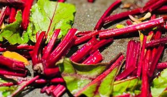 Loại rau được ca ngợi “tốt nhất thế giới” ở Việt Nam lại rẻ bèo, ra chợ là thấy