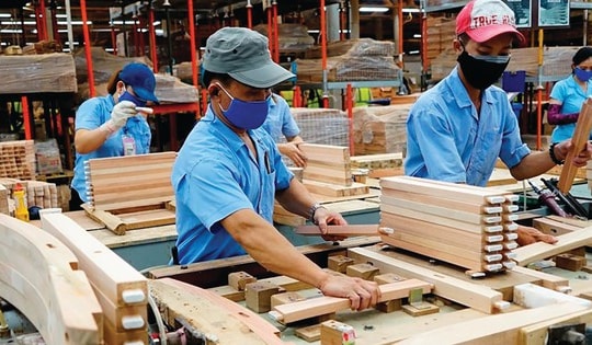 Ngành gỗ Việt Nam “né” cú sốc thuế Hoa Kỳ đầu năm 2026