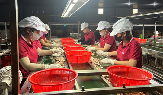 Tăng sức cạnh tranh cho doanh nghiệp Việt