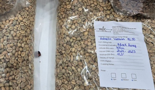 Giá cà phê hôm nay 2-1: Mốc 5.000 USD/tấn rất khó trở lại