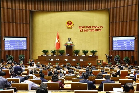 Chống phá đất nước - 'Lưới trời' dần siết chặt