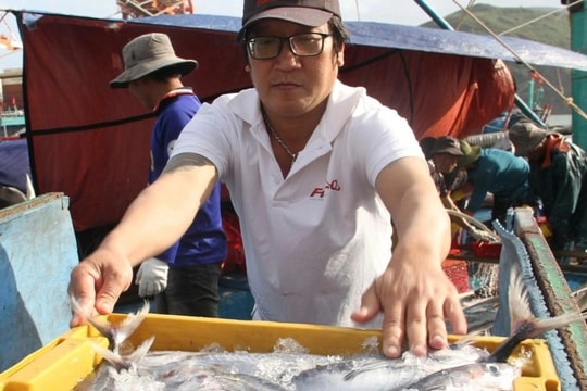 Ngư dân về bờ ngày Tết cùng chuyến tàu 25 tấn cá