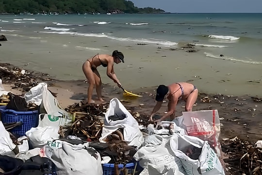 Hai bãi biển đẹp nhất Phú Quốc ngập trong lục bình, rác