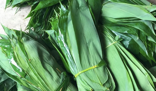 Những loại lá "độc lạ" ở Việt Nam xuất khẩu thu về triệu USD