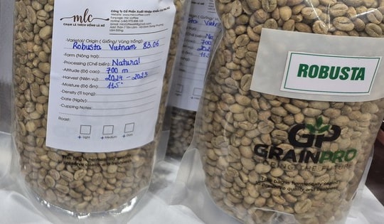 Giá cà phê hôm nay 3-1: Tiếp tục tăng