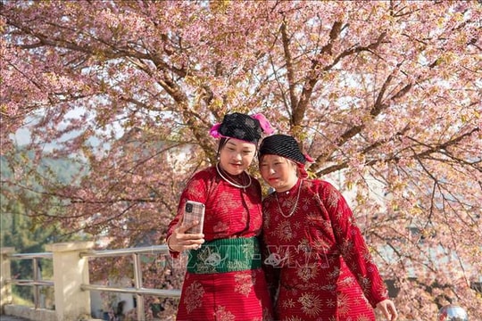 Kỳ vọng sự bứt phá của du lịch năm 2026