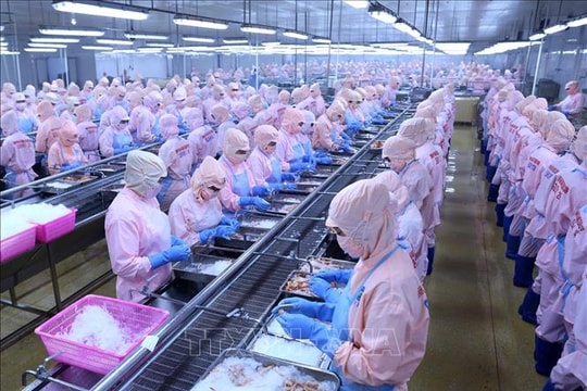 Từng bước tháo gỡ khi Mỹ cấm nhập 12 nhóm loài thủy sản Việt Nam