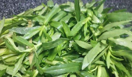 2 loại rau "khoái khẩu" của người Việt mùa se lạnh dễ là "ổ sán", nhất là cái số 1 ngoài chợ có đầy