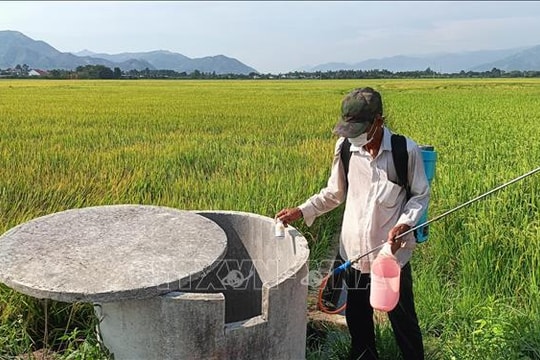 Danh mục thuốc bảo vệ thực vật được phép sử dụng tại Việt Nam