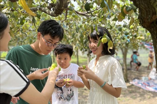 Tạo hướng đi mới cho nông nghiệp ven đô