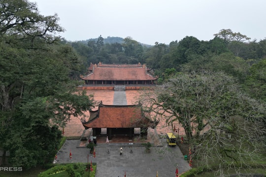 Hướng dẫn viên di tích quốc gia Lam Kinh bị đình chỉ công việc