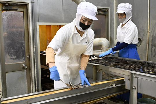 Doanh nghiệp Nhật lo mất lao động Việt