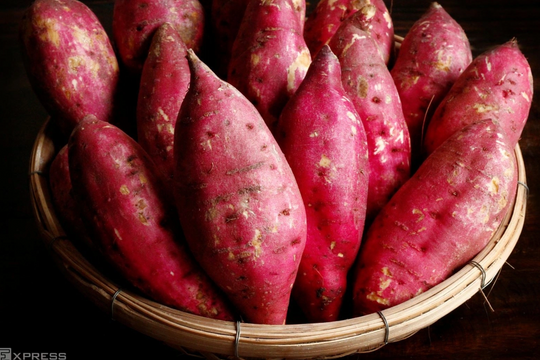 5 thực phẩm giàu vitamin E nên ăn hàng ngày