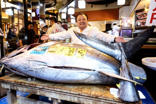 Cá ngừ 3,2 triệu USD lập kỷ lục phiên đấu giá năm mới ở Nhật
