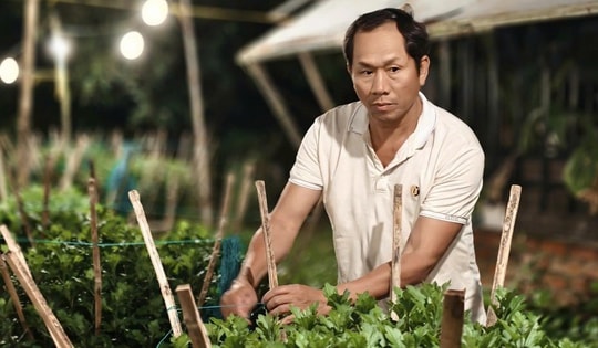 Làng hoa Tết gượng dậy sau bão lũ